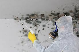 Best Asbestos and Lead Testing During Mold Inspection  in Clear Lake, IA